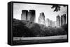 Central Park view - Manhattan - New York City - United States-Philippe Hugonnard-Framed Stretched Canvas