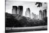 Central Park view - Manhattan - New York City - United States-Philippe Hugonnard-Stretched Canvas