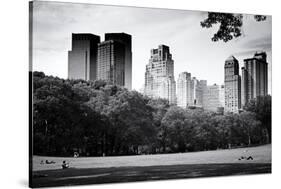 Central Park view - Manhattan - New York City - United States-Philippe Hugonnard-Stretched Canvas