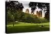 Central Park view - Manhattan - New York City - United States-Philippe Hugonnard-Stretched Canvas