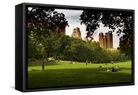 Central Park view - Manhattan - New York City - United States-Philippe Hugonnard-Framed Stretched Canvas