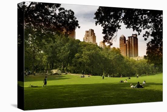Central Park view - Manhattan - New York City - United States-Philippe Hugonnard-Stretched Canvas