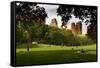 Central Park view - Manhattan - New York City - United States-Philippe Hugonnard-Framed Stretched Canvas