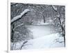 Central Park Winter Lake I-Yoni Teleky-Framed Art Print