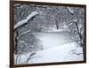 Central Park Winter Lake I-Yoni Teleky-Framed Art Print