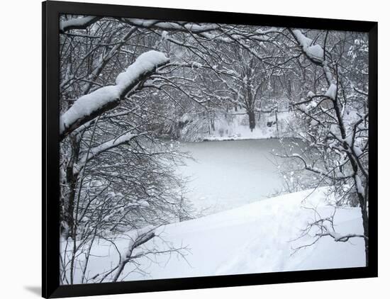 Central Park Winter Lake I-Yoni Teleky-Framed Art Print