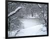 Central Park Winter Lake I-Yoni Teleky-Framed Art Print