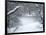 Central Park Winter Lake I-Yoni Teleky-Framed Art Print