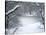 Central Park Winter Lake I-Yoni Teleky-Stretched Canvas