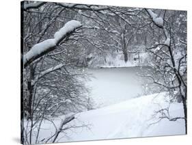 Central Park Winter Lake I-Yoni Teleky-Stretched Canvas