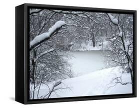 Central Park Winter Lake I-Yoni Teleky-Framed Stretched Canvas