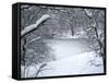 Central Park Winter Lake I-Yoni Teleky-Framed Stretched Canvas