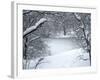 Central Park Winter Lake I-Yoni Teleky-Framed Art Print