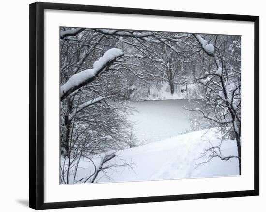 Central Park Winter Lake I-Yoni Teleky-Framed Art Print