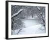 Central Park Winter Lake I-Yoni Teleky-Framed Art Print