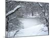 Central Park Winter Lake I-Yoni Teleky-Mounted Art Print