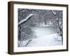 Central Park Winter Lake I-Yoni Teleky-Framed Art Print