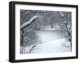 Central Park Winter Lake I-Yoni Teleky-Framed Art Print