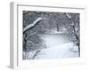 Central Park Winter Lake I-Yoni Teleky-Framed Art Print