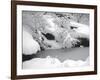 Central Park Winter Lake II-Yoni Teleky-Framed Art Print