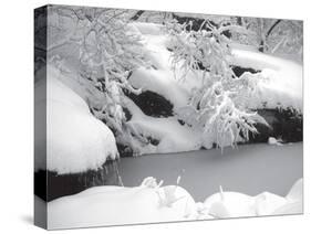 Central Park Winter Lake II-Yoni Teleky-Stretched Canvas