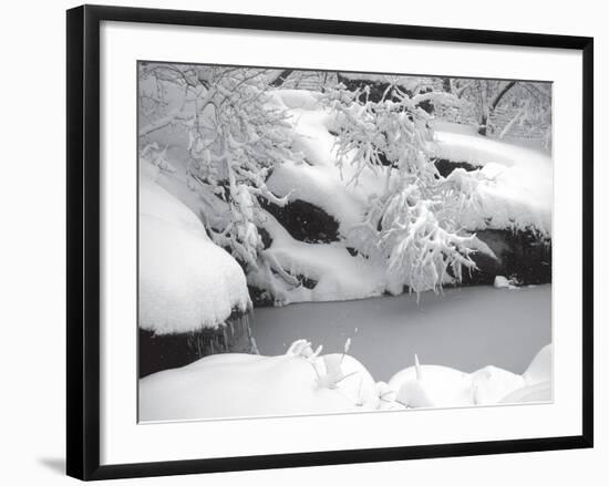 Central Park Winter Lake II-Yoni Teleky-Framed Art Print