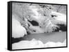 Central Park Winter Lake II-Yoni Teleky-Framed Stretched Canvas