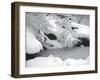 Central Park Winter Lake II-Yoni Teleky-Framed Art Print