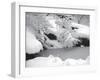 Central Park Winter Lake II-Yoni Teleky-Framed Art Print