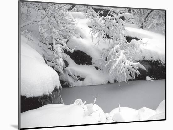 Central Park Winter Lake II-Yoni Teleky-Mounted Art Print