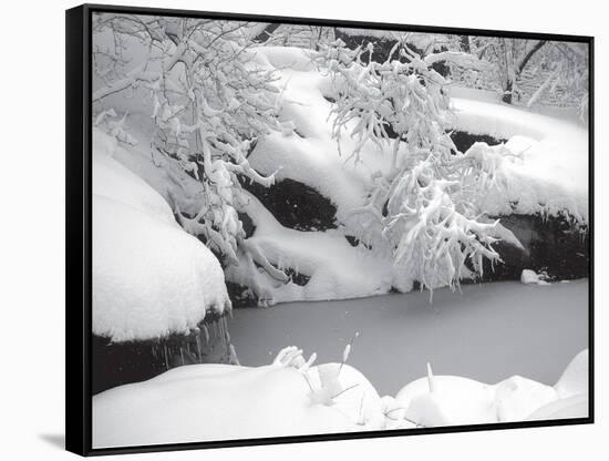 Central Park Winter Lake II-Yoni Teleky-Framed Stretched Canvas