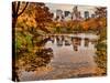 Central Park with Central Park South in the Fall, Manhattan, New-Sabine Jacobs-Stretched Canvas