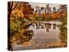 Central Park with Central Park South in the Fall, Manhattan, New-Sabine Jacobs-Stretched Canvas