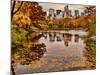 Central Park with Central Park South in the Fall, Manhattan, New-Sabine Jacobs-Mounted Photographic Print