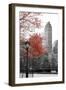 Central Park with Red Tree-Emily Navas-Framed Photographic Print