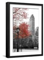 Central Park with Red Tree-Emily Navas-Framed Photographic Print