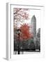 Central Park with Red Tree-Emily Navas-Framed Photographic Print