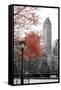 Central Park with Red Tree-Emily Navas-Framed Stretched Canvas