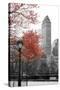Central Park with Red Tree-Emily Navas-Stretched Canvas
