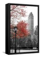 Central Park with Red Tree-Emily Navas-Framed Stretched Canvas