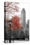 Central Park with Red Tree-Emily Navas-Stretched Canvas