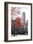 Central Park with Red Tree-Emily Navas-Framed Photographic Print