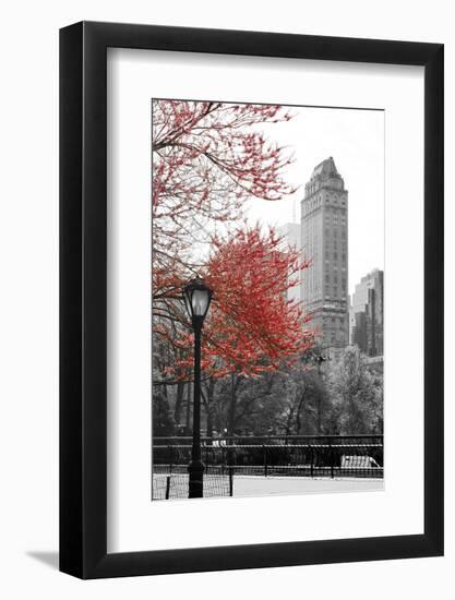 Central Park with Red Tree-Emily Navas-Framed Photographic Print