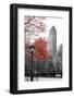 Central Park with Red Tree-Emily Navas-Framed Photographic Print