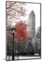 Central Park with Red Tree-Emily Navas-Mounted Photographic Print
