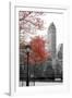 Central Park with Red Tree-Emily Navas-Framed Photographic Print