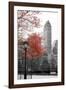 Central Park with Red Tree-Emily Navas-Framed Photographic Print