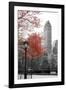 Central Park with Red Tree-Emily Navas-Framed Photographic Print