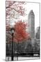 Central Park with Red Tree-Emily Navas-Mounted Photographic Print