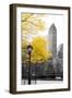 Central Park with Yellow Tree-Emily Navas-Framed Photographic Print